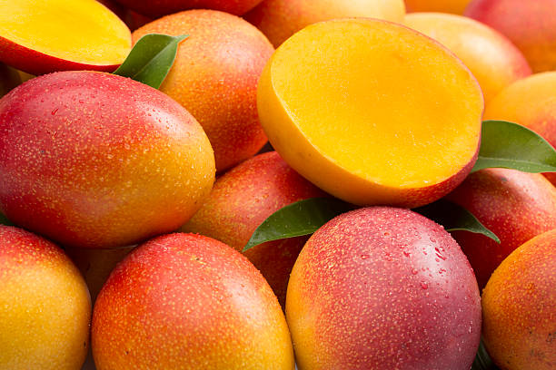 Mangue