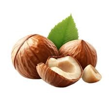 Noisette